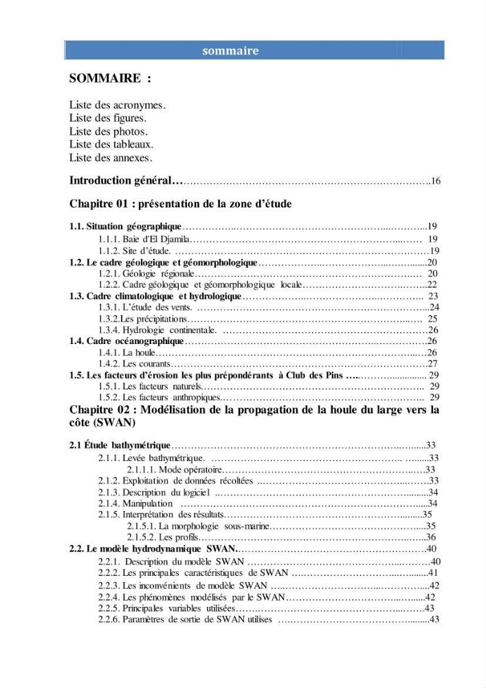 Modélisation numérique des paramètres sédimentologique et de pollution le long d\'une côte: cas de club des pins