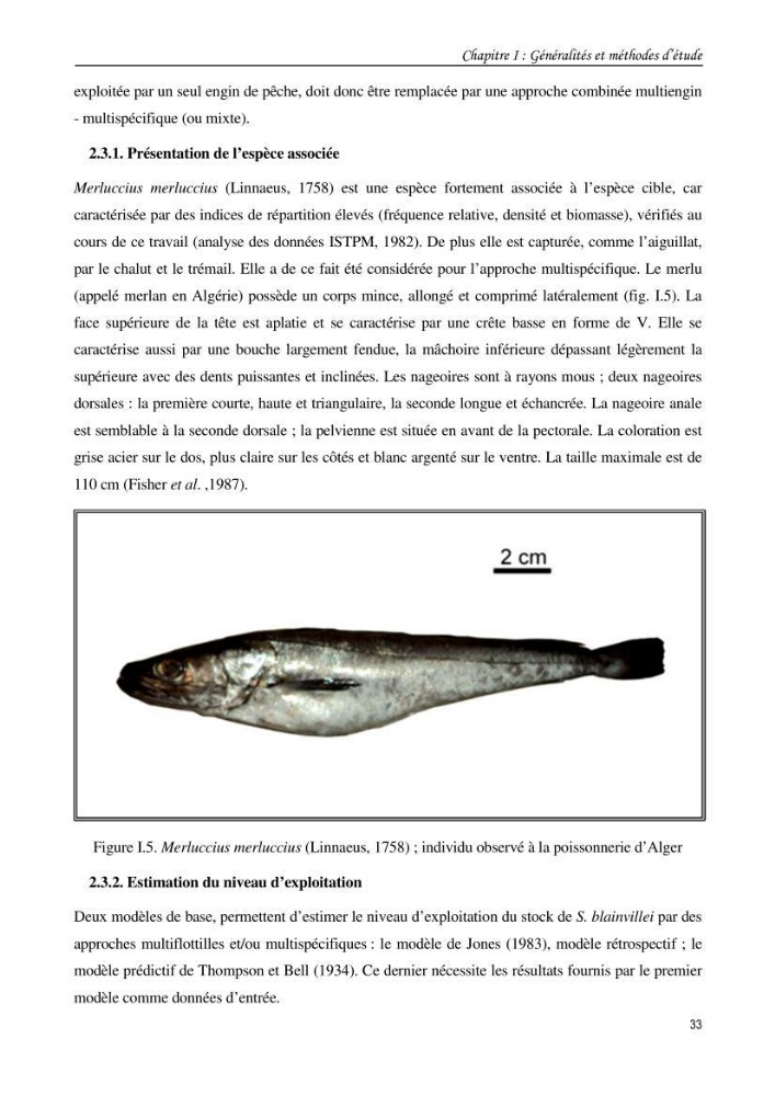 Contribution à l\'étude du comportement, de croissance et de l\'exploitation de squalus bleinveil ( chodrichthyens, squalidae) dans le bassin algerien