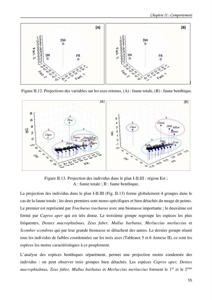 Contribution à l\'étude du comportement, de croissance et de l\'exploitation de squalus bleinveil ( chodrichthyens, squalidae) dans le bassin algerien