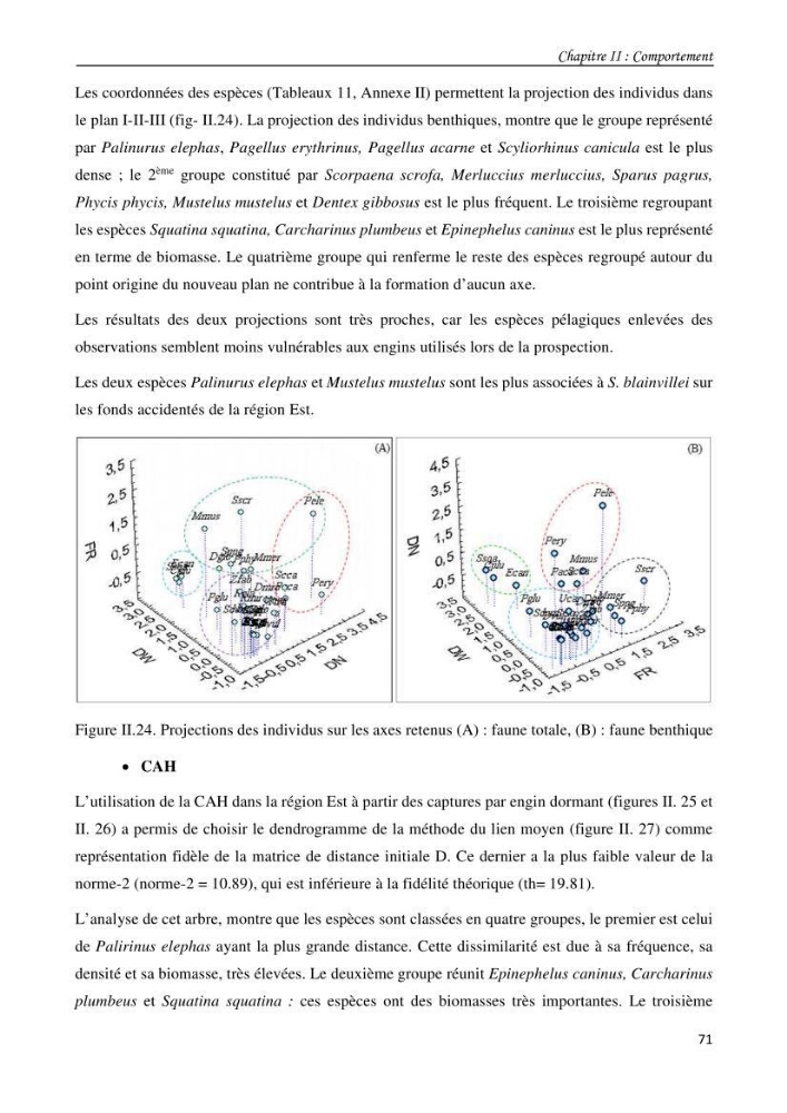 Contribution à l\'étude du comportement, de croissance et de l\'exploitation de squalus bleinveil ( chodrichthyens, squalidae) dans le bassin algerien
