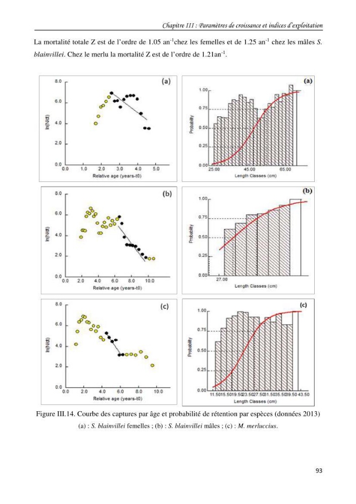 Contribution à l\'étude du comportement, de croissance et de l\'exploitation de squalus bleinveil ( chodrichthyens, squalidae) dans le bassin algerien