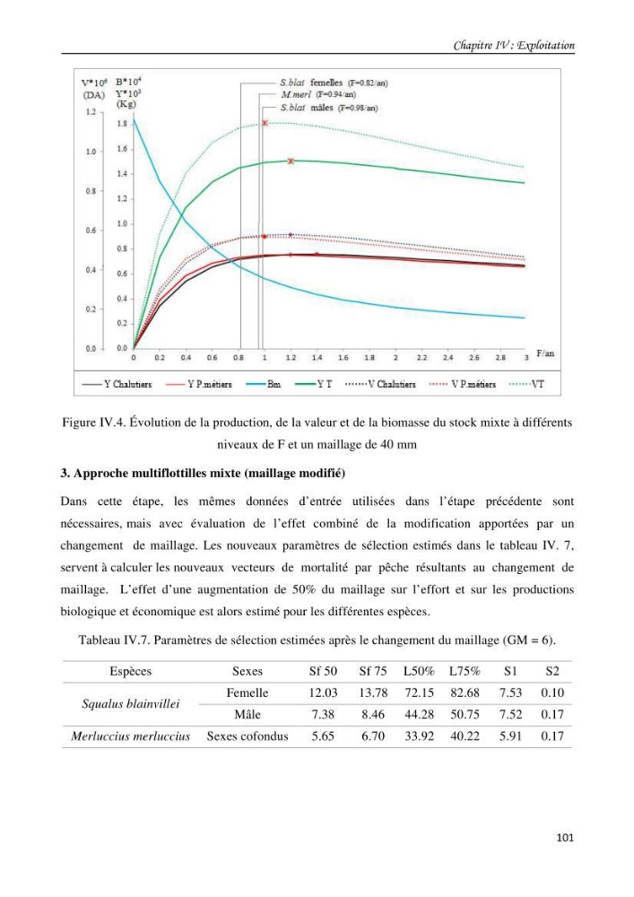 Contribution à l\'étude du comportement, de croissance et de l\'exploitation de squalus bleinveil ( chodrichthyens, squalidae) dans le bassin algerien