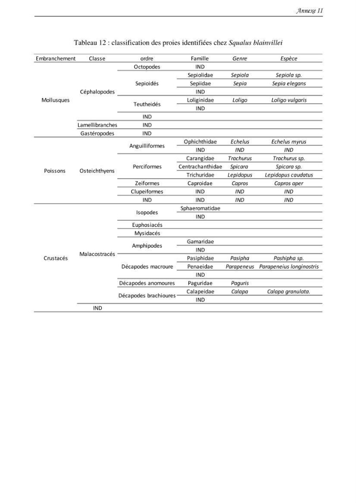 Contribution à l\'étude du comportement, de croissance et de l\'exploitation de squalus bleinveil ( chodrichthyens, squalidae) dans le bassin algerien