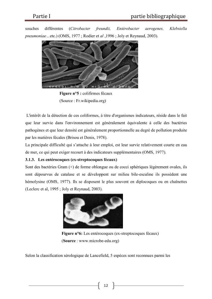 Contribution à l\'etude de la contamination bactériologiques et physico-chimique des eaux littorales cas de \"oued Mazafran\"