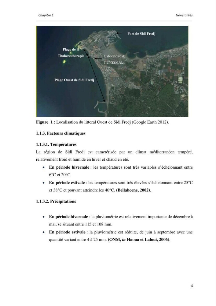 Paramètres environnementaux de la plage ouest de Sidi Fredj
