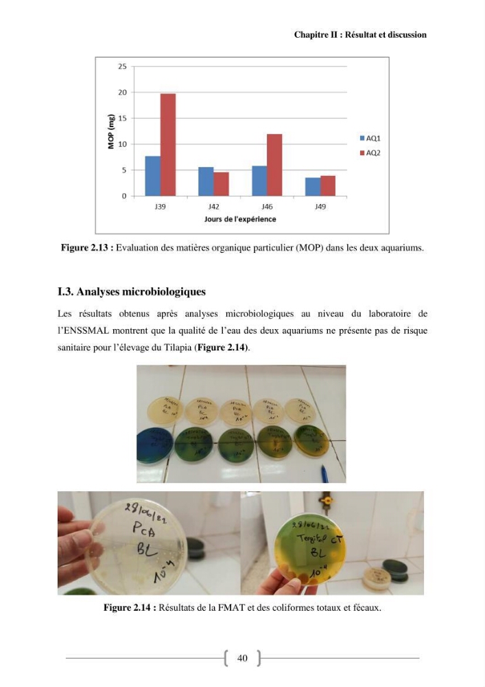 Effet de la qualité de l’eau sur la croissance des poissons d’eau douce: