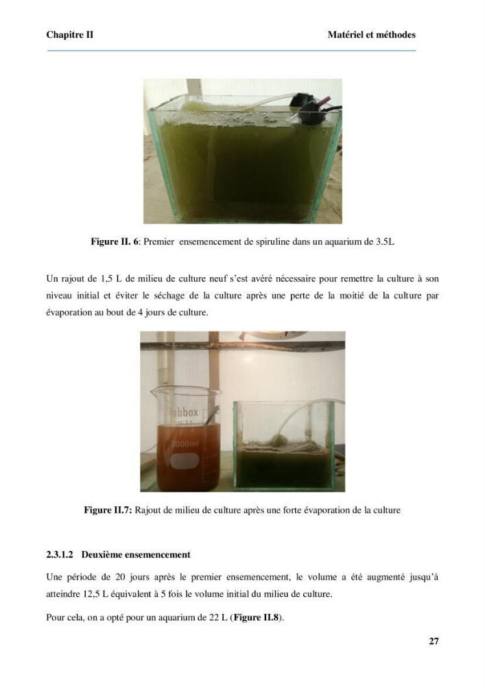 Culture de microalgue Arthrospira platensis et voies de conditionnement