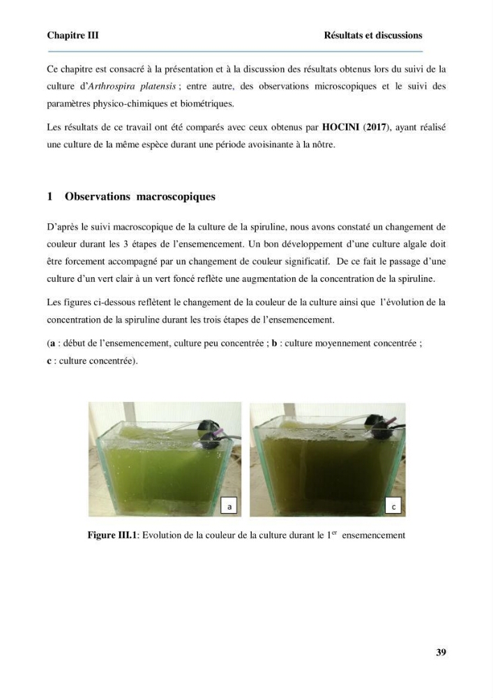 Culture de microalgue Arthrospira platensis et voies de conditionnement