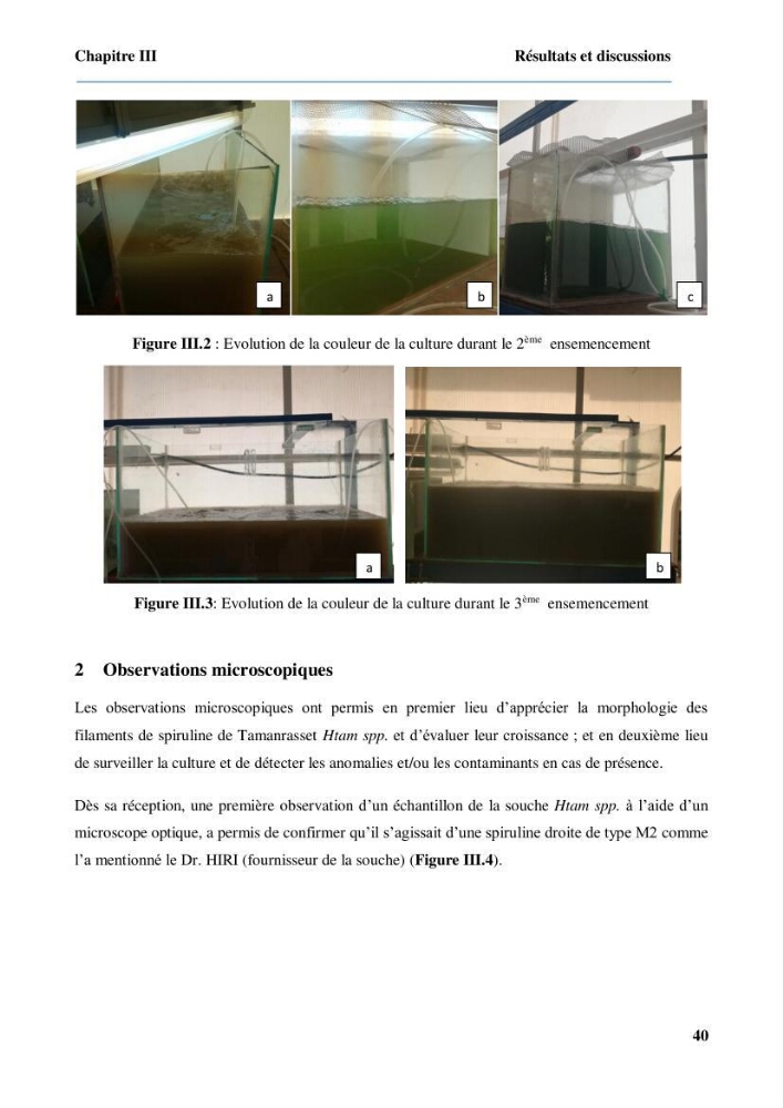 Culture de microalgue Arthrospira platensis et voies de conditionnement