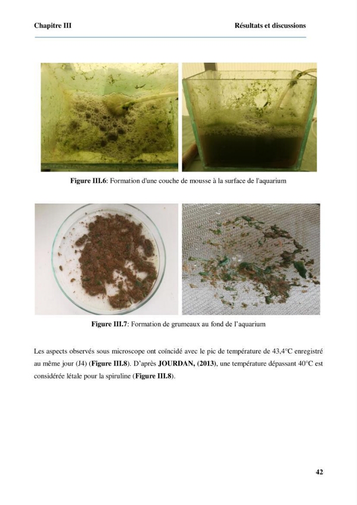 Culture de microalgue Arthrospira platensis et voies de conditionnement