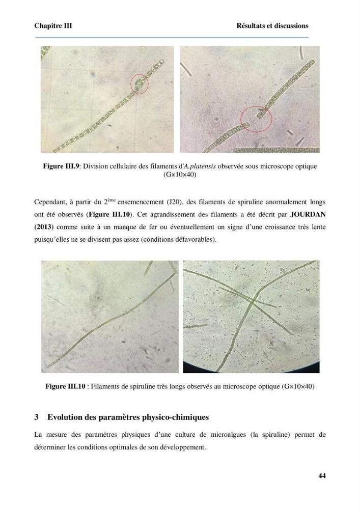 Culture de microalgue Arthrospira platensis et voies de conditionnement