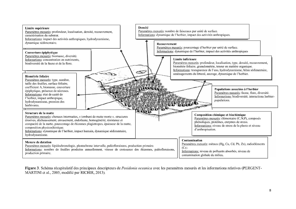 Evaluation du statut écologique des eaux côtieres Algéroises
