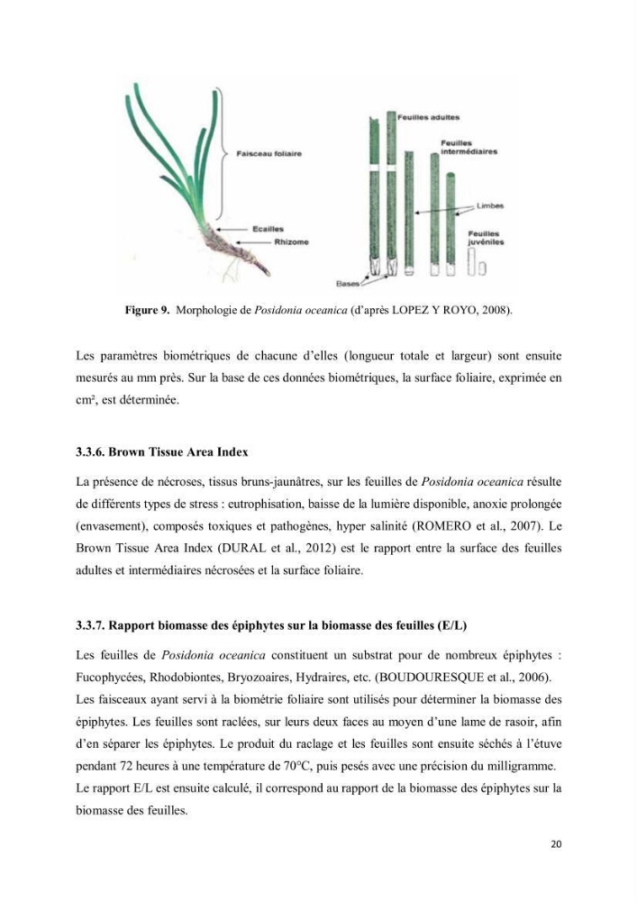 Evaluation du statut écologique des eaux côtieres Algéroises