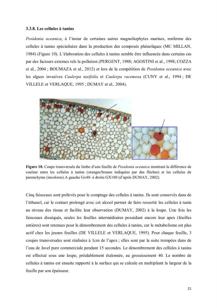 Evaluation du statut écologique des eaux côtieres Algéroises