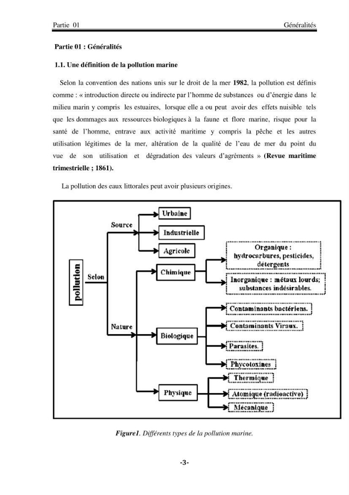 Contribution à la biosurveillance des eaux du littoral de la plage et du port de Sidi Fredj