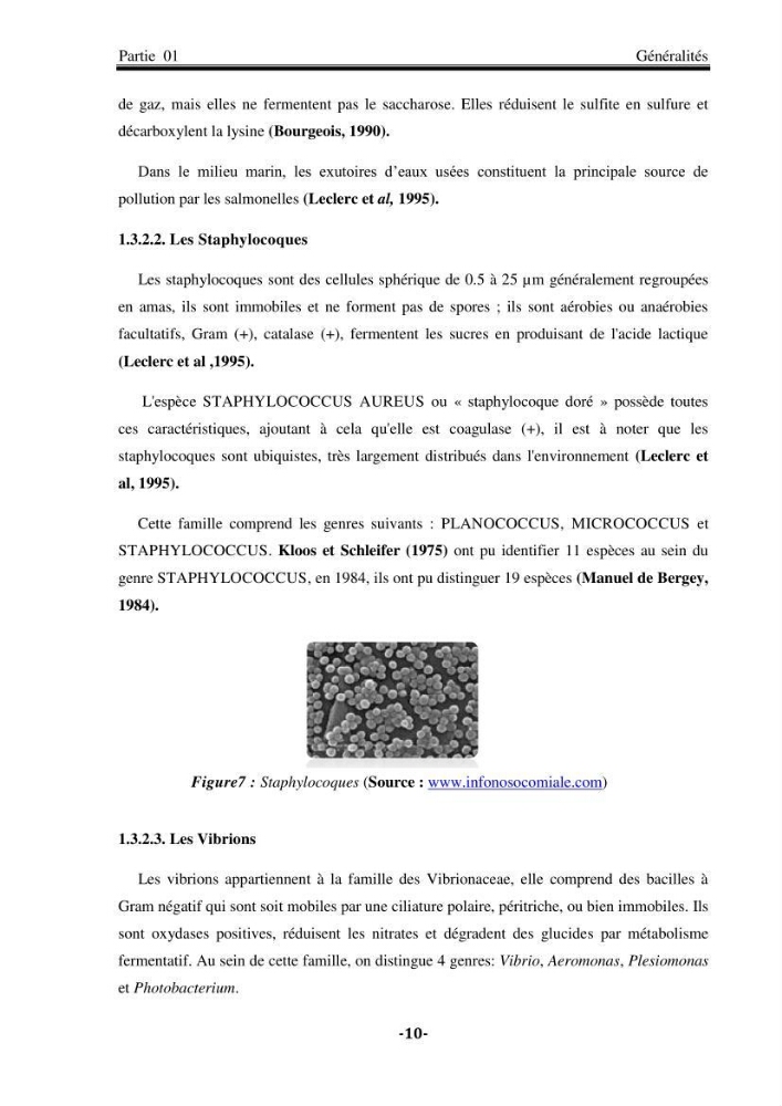 Contribution à la biosurveillance des eaux du littoral de la plage et du port de Sidi Fredj