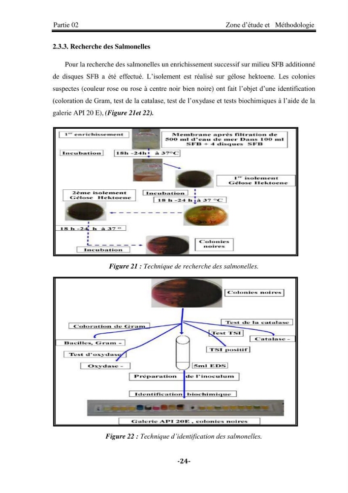 Contribution à la biosurveillance des eaux du littoral de la plage et du port de Sidi Fredj