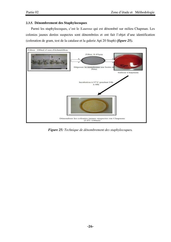 Contribution à la biosurveillance des eaux du littoral de la plage et du port de Sidi Fredj