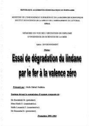 Essai de dégradation du lindane par le fer à la valence zéro