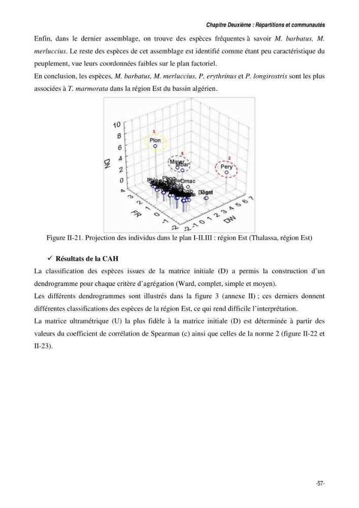 Comportement, Croissance et Exploitation de Torpedo marmorata Risso, 1810 (CHONDRICHTHYENS, TORPEDINIDAE) dans le bassin Algérien