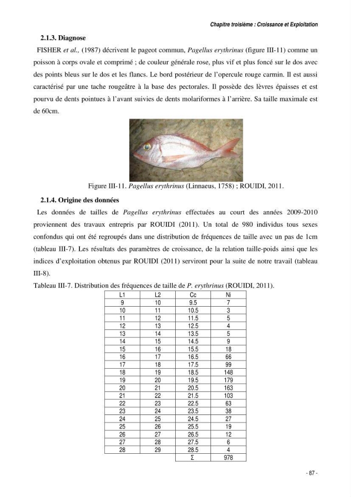 Comportement, Croissance et Exploitation de Torpedo marmorata Risso, 1810 (CHONDRICHTHYENS, TORPEDINIDAE) dans le bassin Algérien