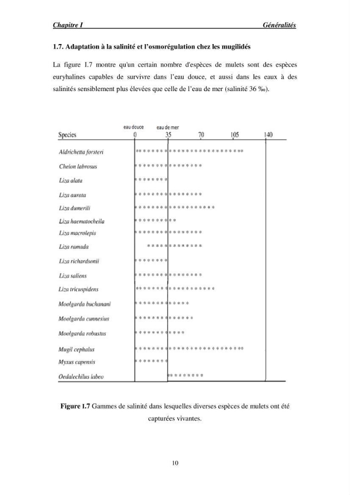 Acclimatation aux faibles salinités des alevins de mulet Chelon labrosus (Risso, 1826).