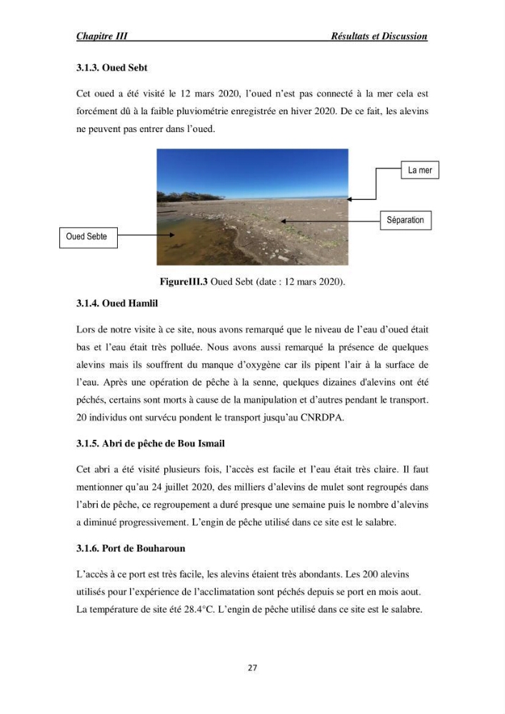 Acclimatation aux faibles salinités des alevins de mulet Chelon labrosus (Risso, 1826).