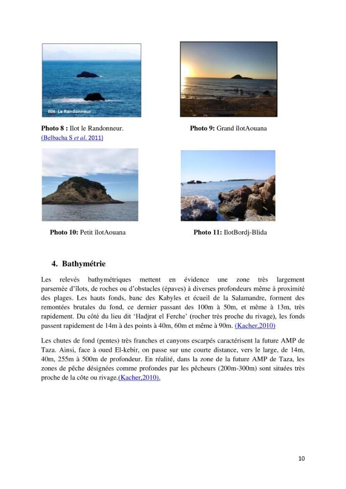 Actualisation de l’inventaire des espèces faunistiques marines du parc national de Taza (Jijel)