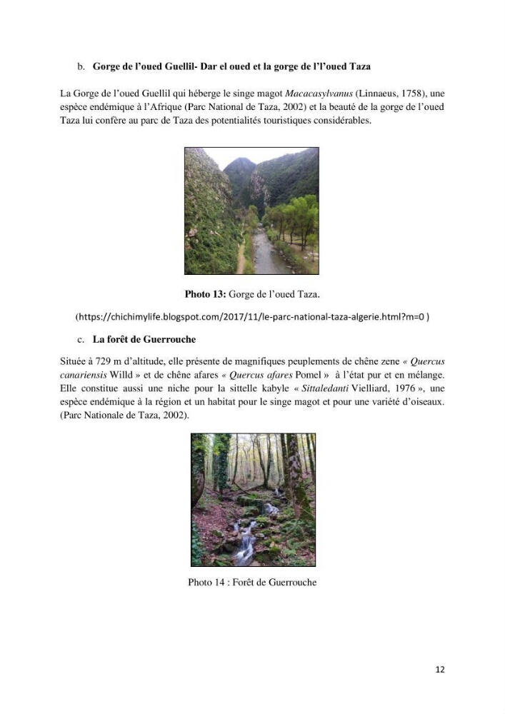 Actualisation de l’inventaire des espèces faunistiques marines du parc national de Taza (Jijel)