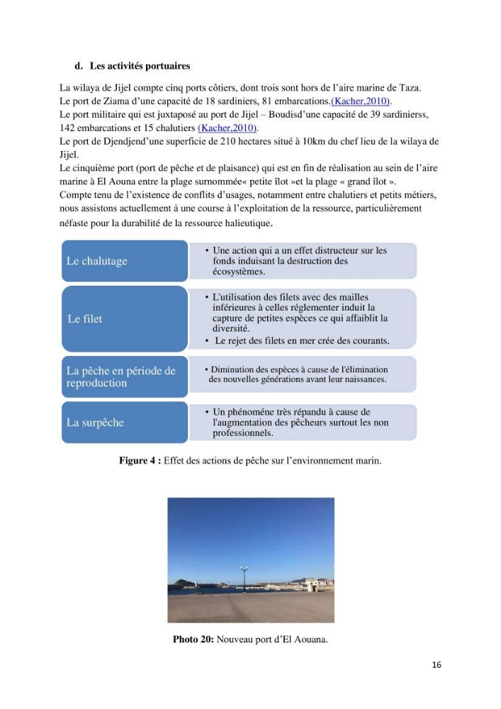 Actualisation de l’inventaire des espèces faunistiques marines du parc national de Taza (Jijel)