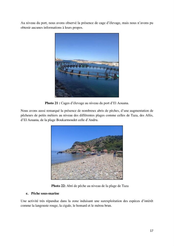 Actualisation de l’inventaire des espèces faunistiques marines du parc national de Taza (Jijel)