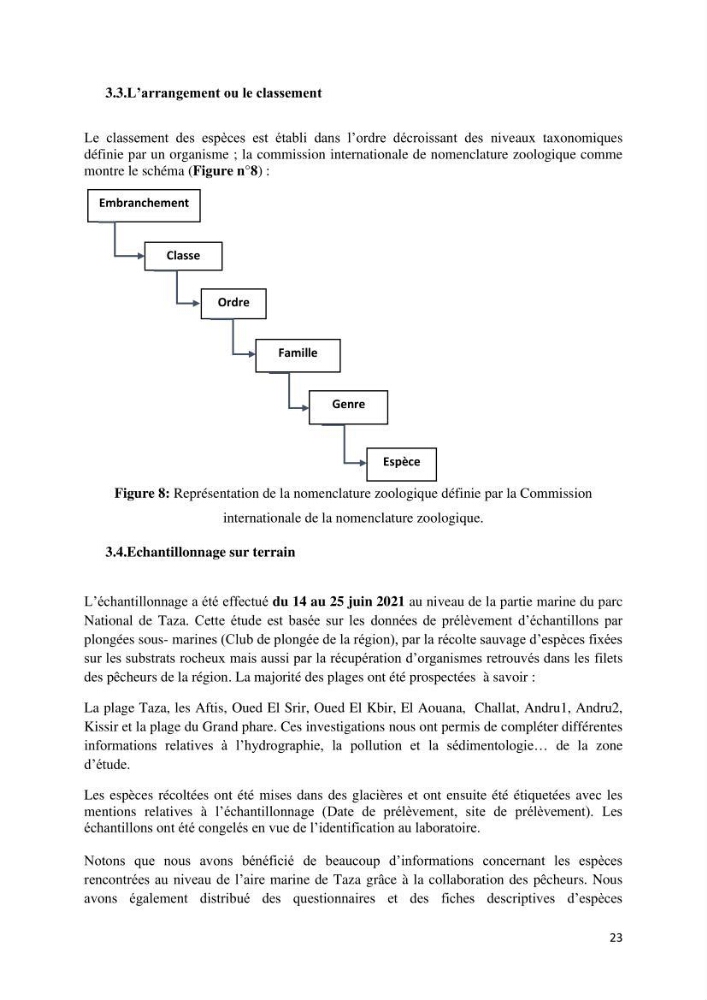 Actualisation de l’inventaire des espèces faunistiques marines du parc national de Taza (Jijel)