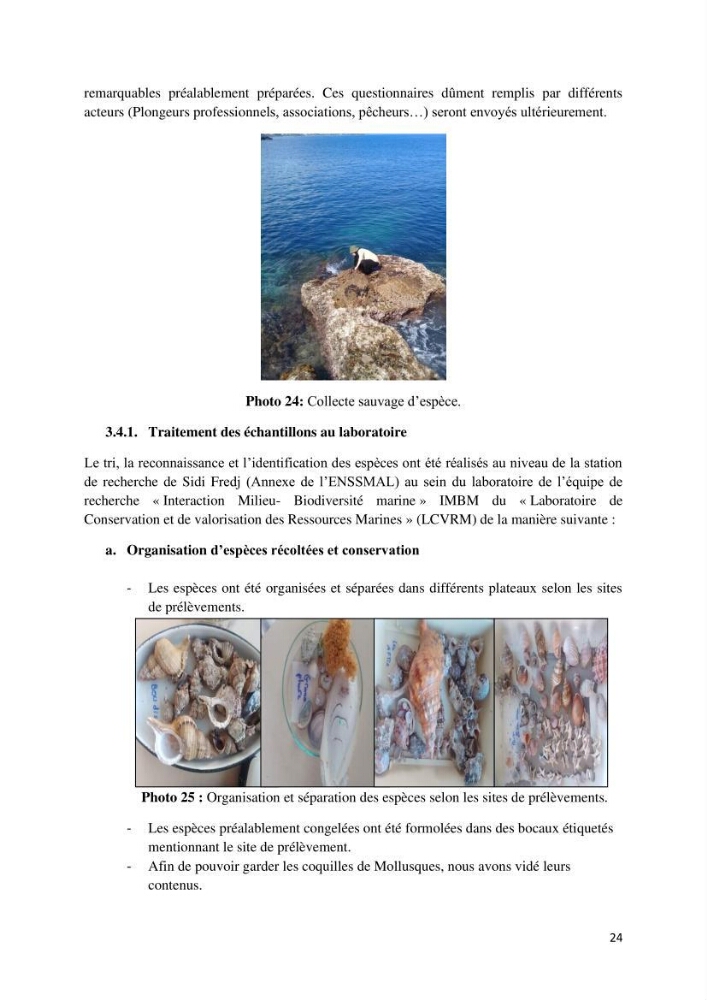 Actualisation de l’inventaire des espèces faunistiques marines du parc national de Taza (Jijel)
