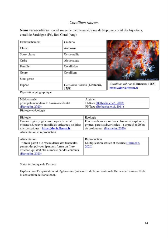 Actualisation de l’inventaire des espèces faunistiques marines du parc national de Taza (Jijel)