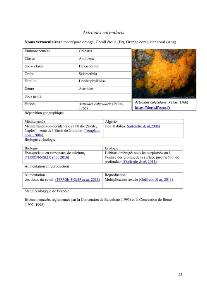 Actualisation de l’inventaire des espèces faunistiques marines du parc national de Taza (Jijel)