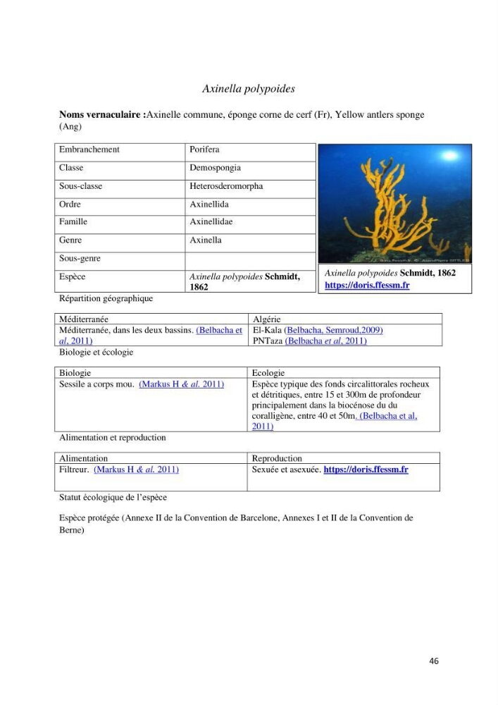 Actualisation de l’inventaire des espèces faunistiques marines du parc national de Taza (Jijel)