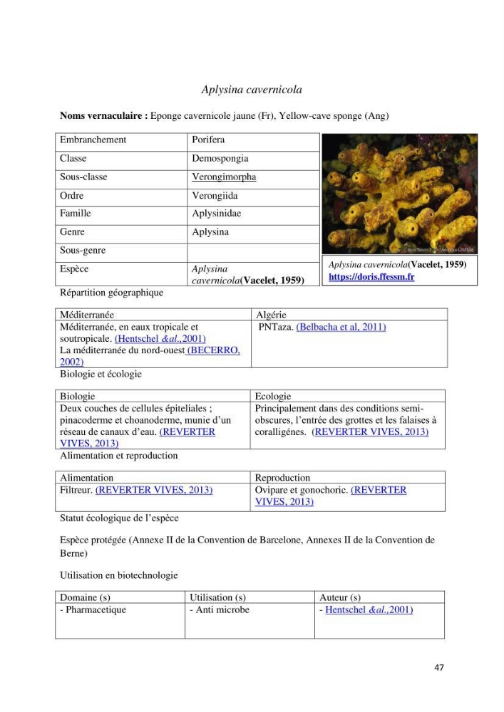 Actualisation de l’inventaire des espèces faunistiques marines du parc national de Taza (Jijel)