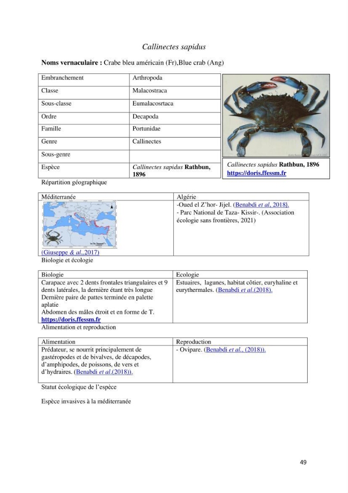 Actualisation de l’inventaire des espèces faunistiques marines du parc national de Taza (Jijel)
