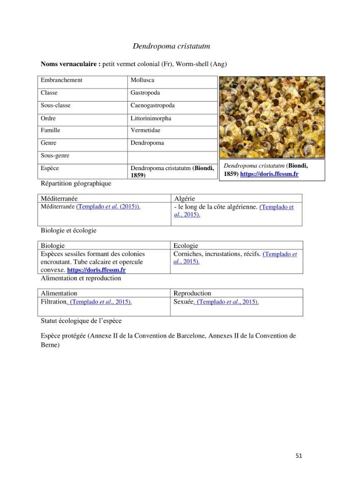 Actualisation de l’inventaire des espèces faunistiques marines du parc national de Taza (Jijel)