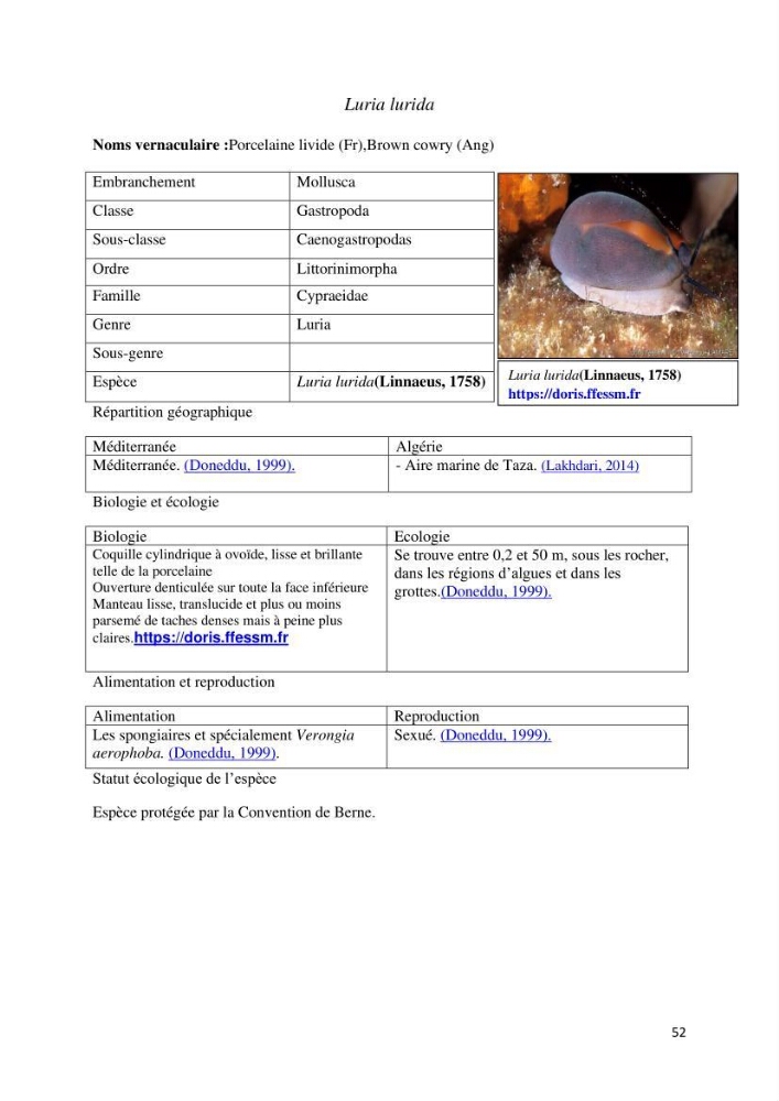 Actualisation de l’inventaire des espèces faunistiques marines du parc national de Taza (Jijel)
