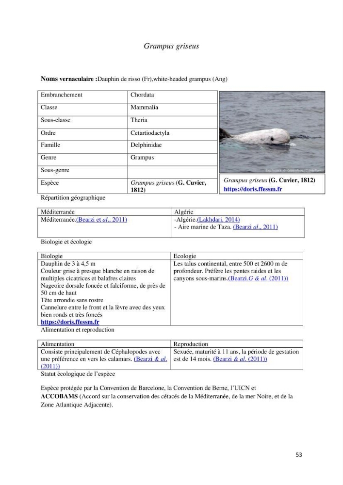 Actualisation de l’inventaire des espèces faunistiques marines du parc national de Taza (Jijel)