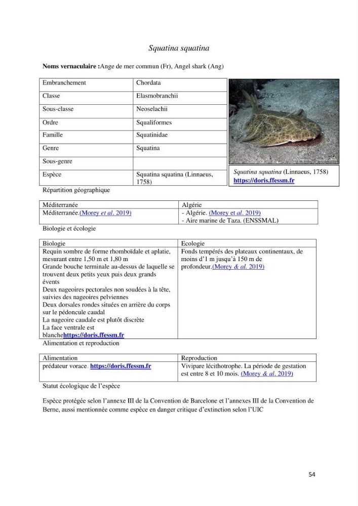 Actualisation de l’inventaire des espèces faunistiques marines du parc national de Taza (Jijel)
