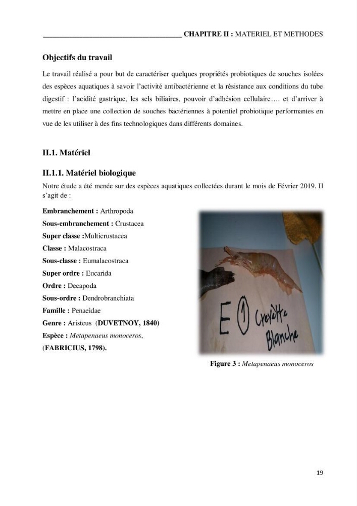 Etude du potentiel probiotique de bactéries isolées à partir d’animaux aquatiques: