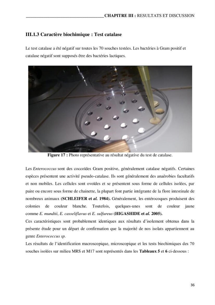 Etude du potentiel probiotique de bactéries isolées à partir d’animaux aquatiques: