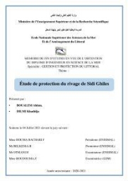 Etude de Protection du Rivage de Sidi Ghiles