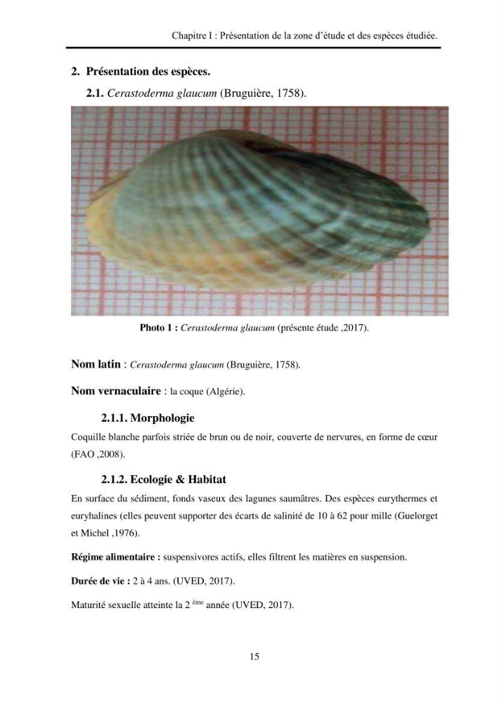 Organisation des populations de Cerastoderma glaucum, Ruditapes decussatus, espèces d’intérêt aquacole dans les élevages extensifs au niveau du lac Mellah (EL Kala).: