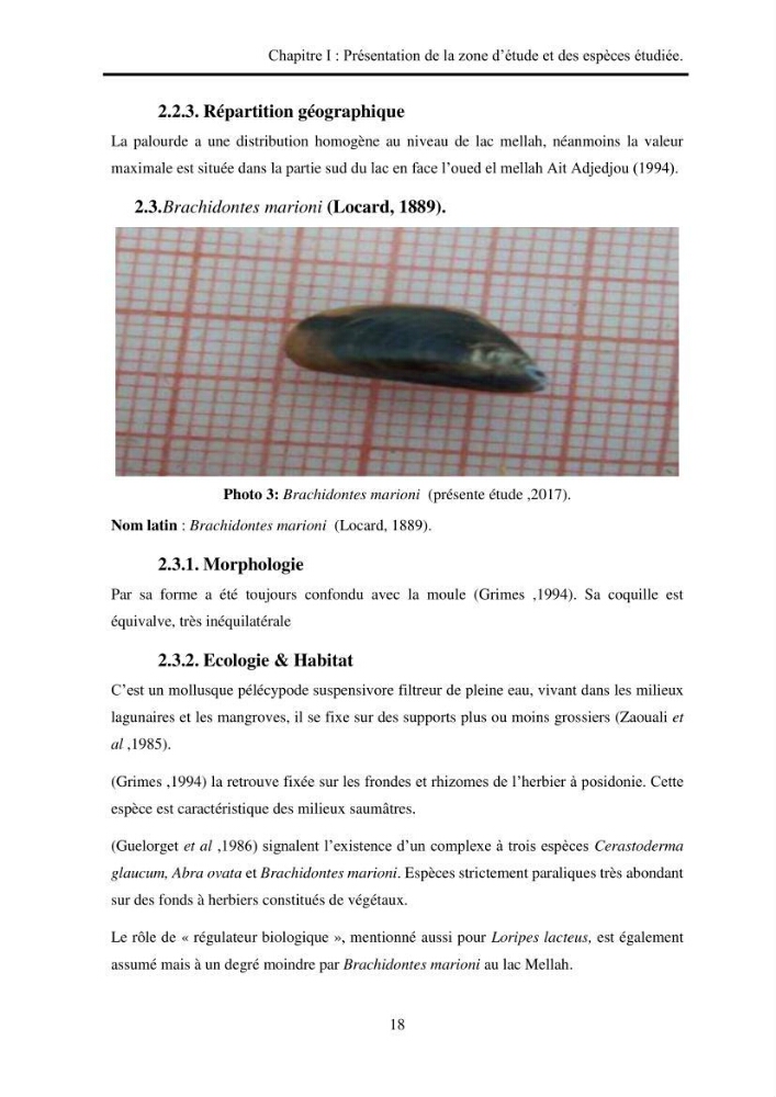 Organisation des populations de Cerastoderma glaucum, Ruditapes decussatus, espèces d’intérêt aquacole dans les élevages extensifs au niveau du lac Mellah (EL Kala).:
