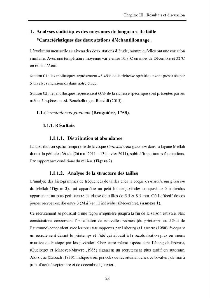 Organisation des populations de Cerastoderma glaucum, Ruditapes decussatus, espèces d’intérêt aquacole dans les élevages extensifs au niveau du lac Mellah (EL Kala).: