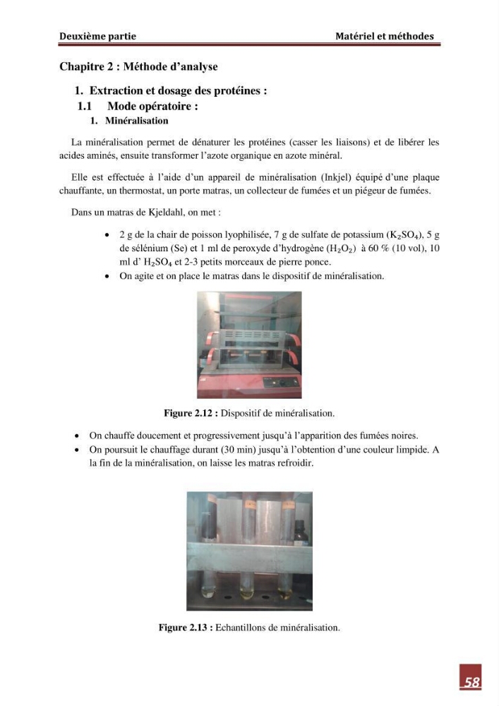 Contribution à l\'étude de la valeur alimentaire de l\'éspèce Tilapia du nil \"orechoromisniloticus\":