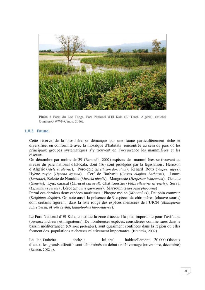 Inventaire de la faune et de la flore marine remarquable des espaces d\'intérêt écologique du secteur Est de la côte Algérienne: